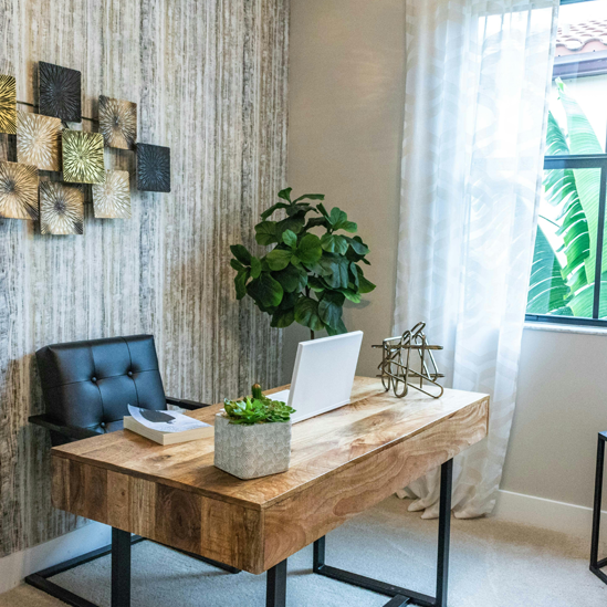 South Coast Property Development Garden offices